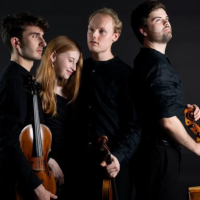 Fibonacci Quartet