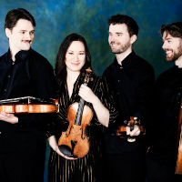 Opus 13 String Quartet