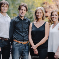 Sacconi String Quartet